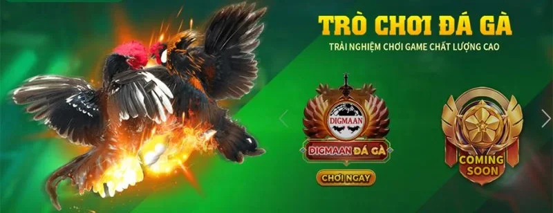 Nhà cái uy tín tại với giấy phép hợp pháp được công nhận.