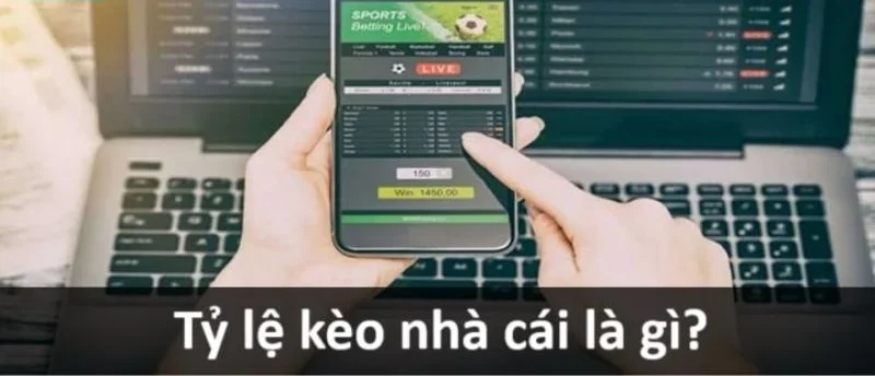 Tỷ lệ kèo nhà cái tại nền tảng PG88 là thông tin được cược thủ quan tâm.